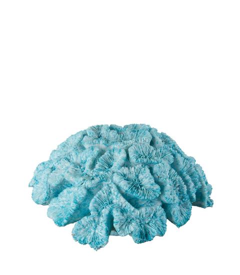 Corallo turchese