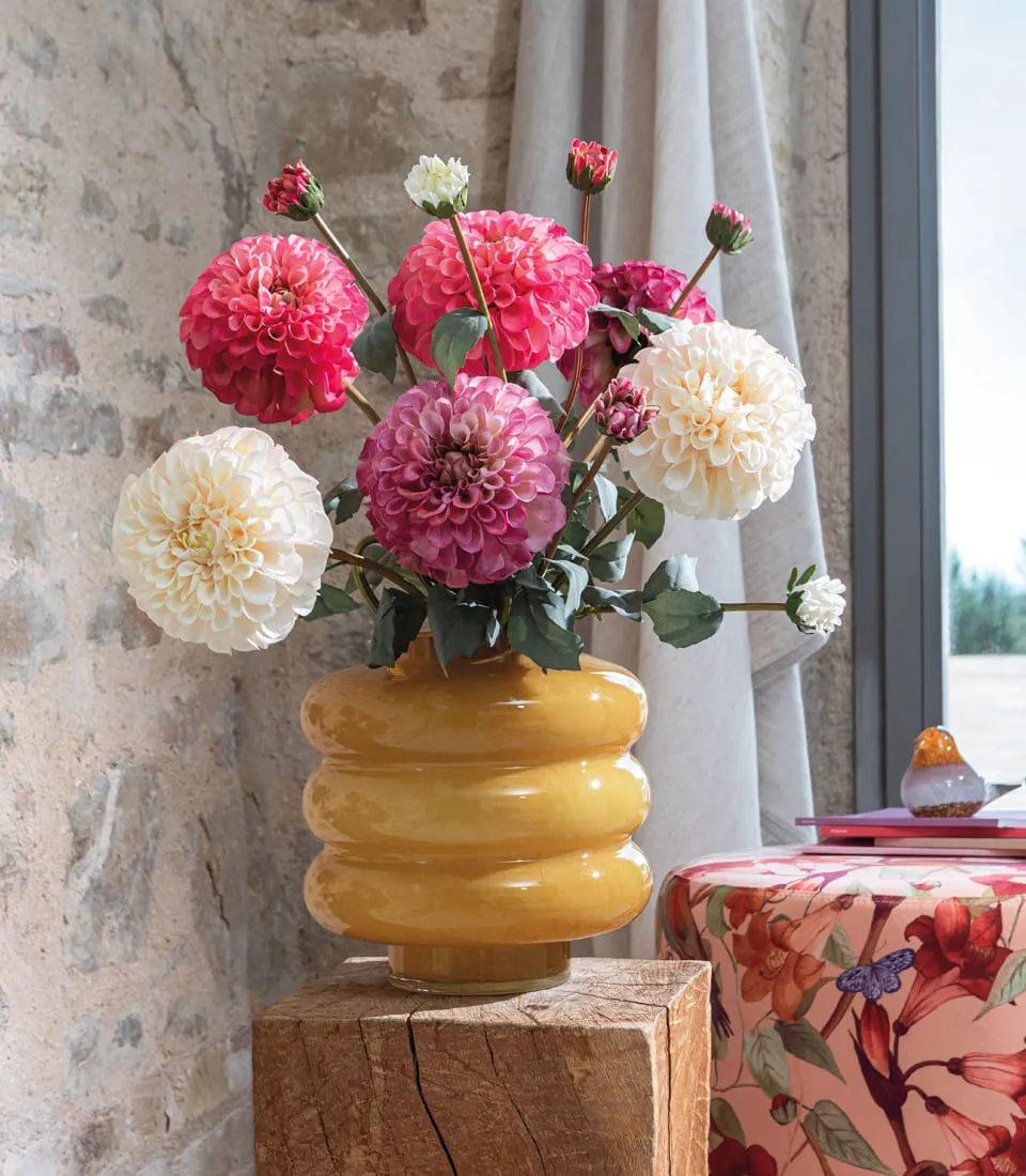 Dahlia, pink