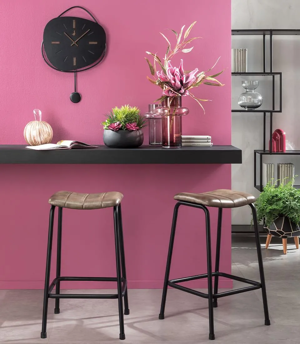 Succulent Plant Arrangement