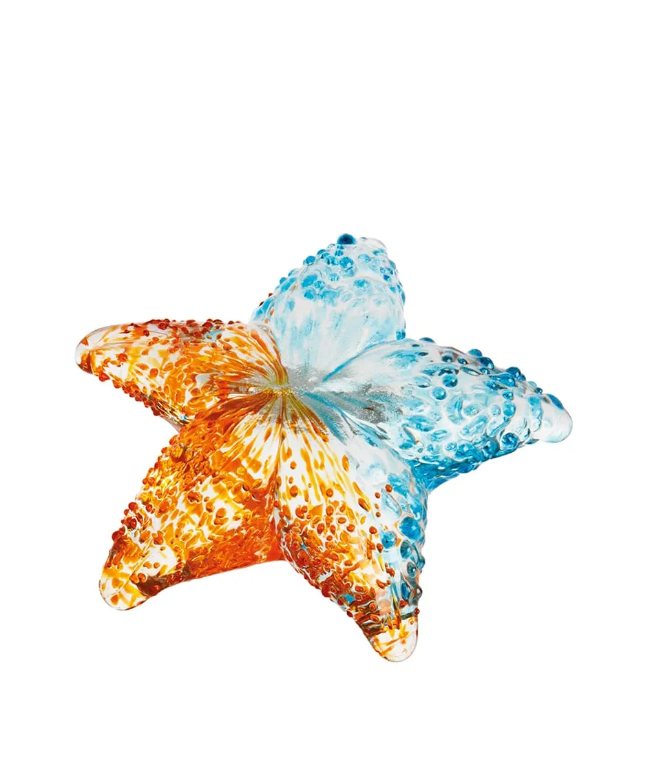 Decorative starfish - set 5 pcs.