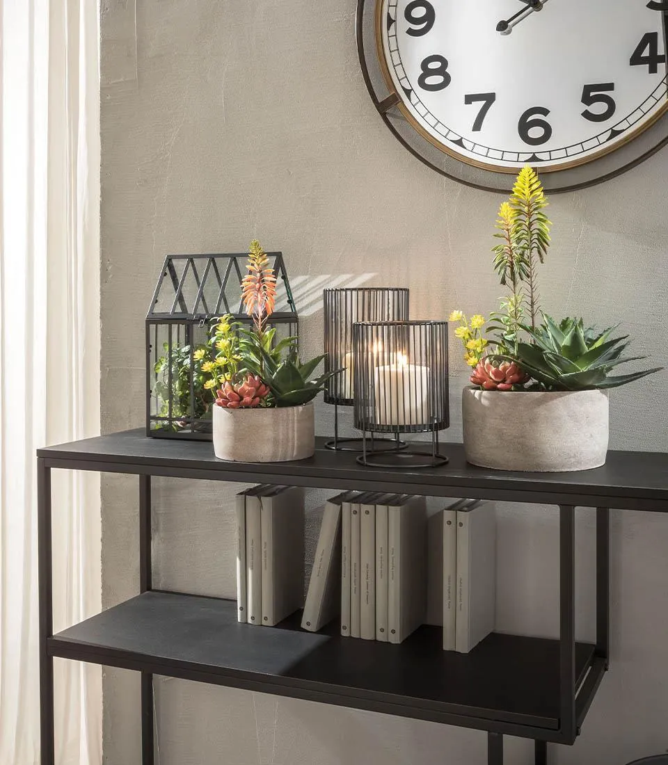 Composizione piante grasse - set 2 pz
