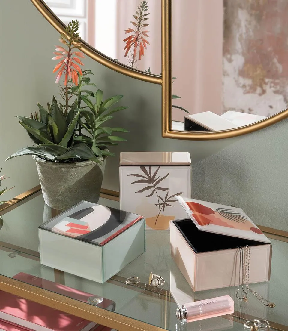 Composizione piante grasse - set 2 pz