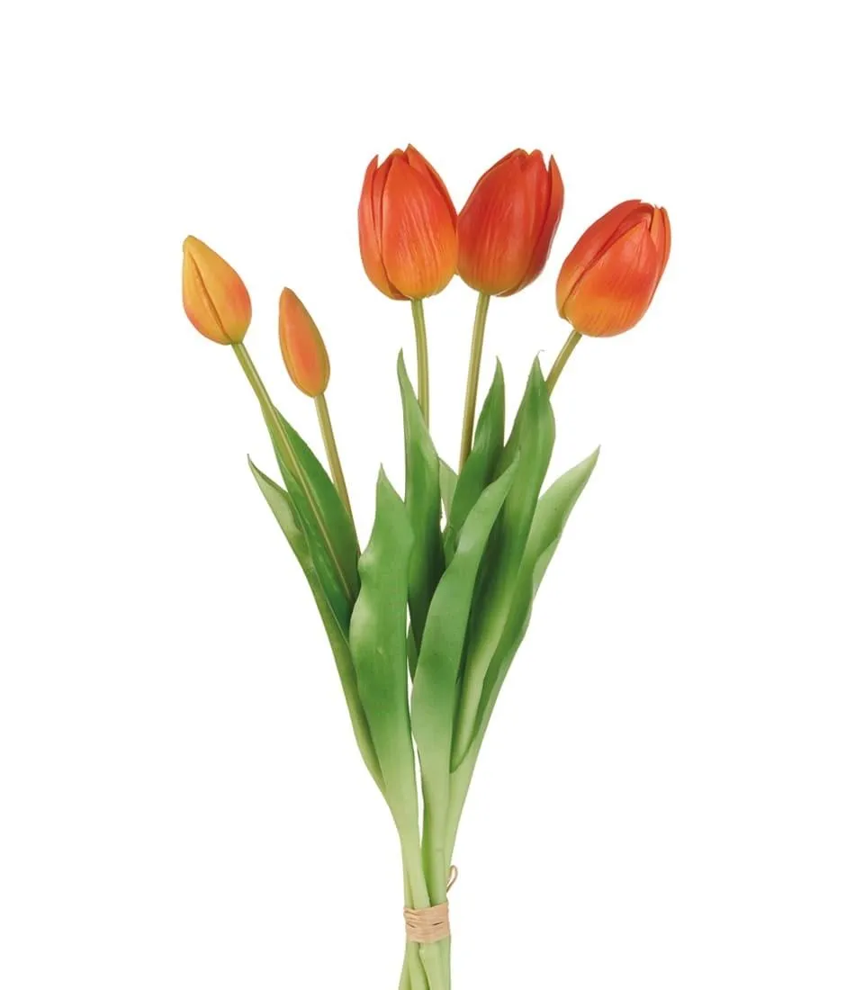Tulips, orange
