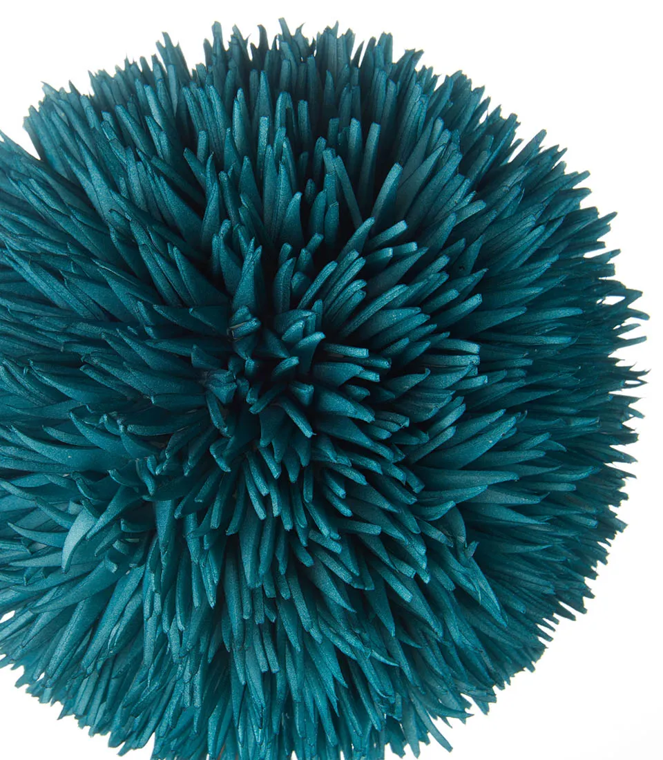 Allium, air force blue