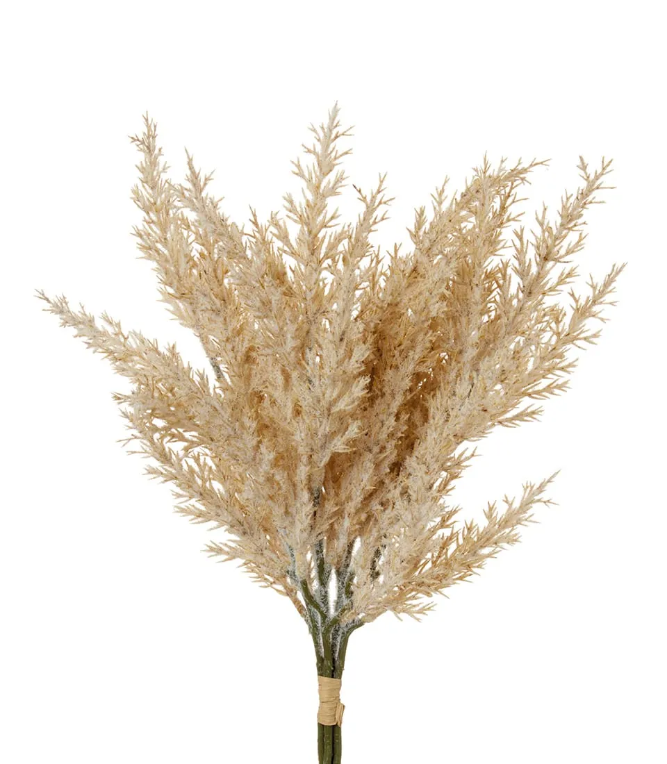 Juniper, natural