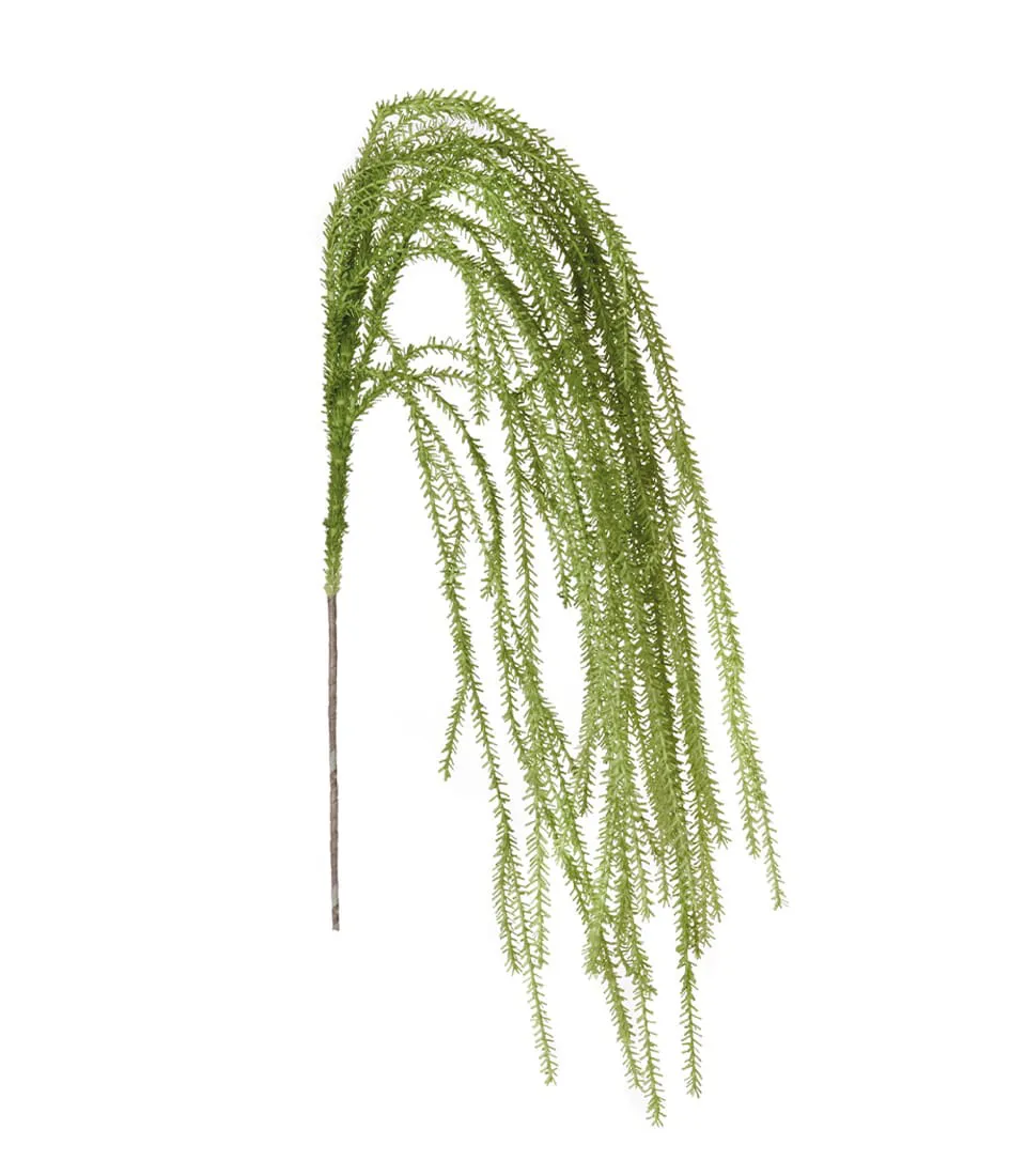 Willow