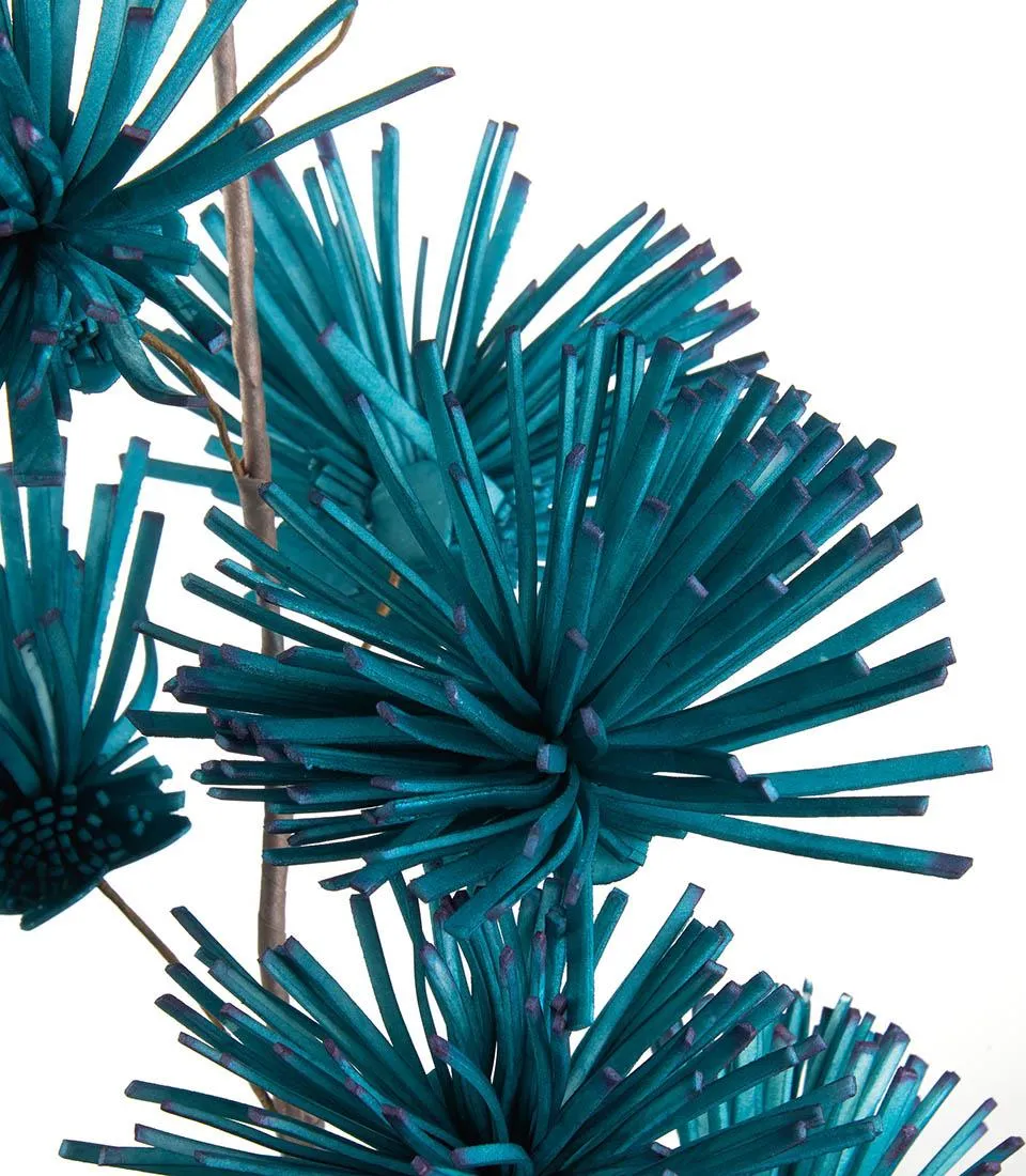 Echium, air force blue