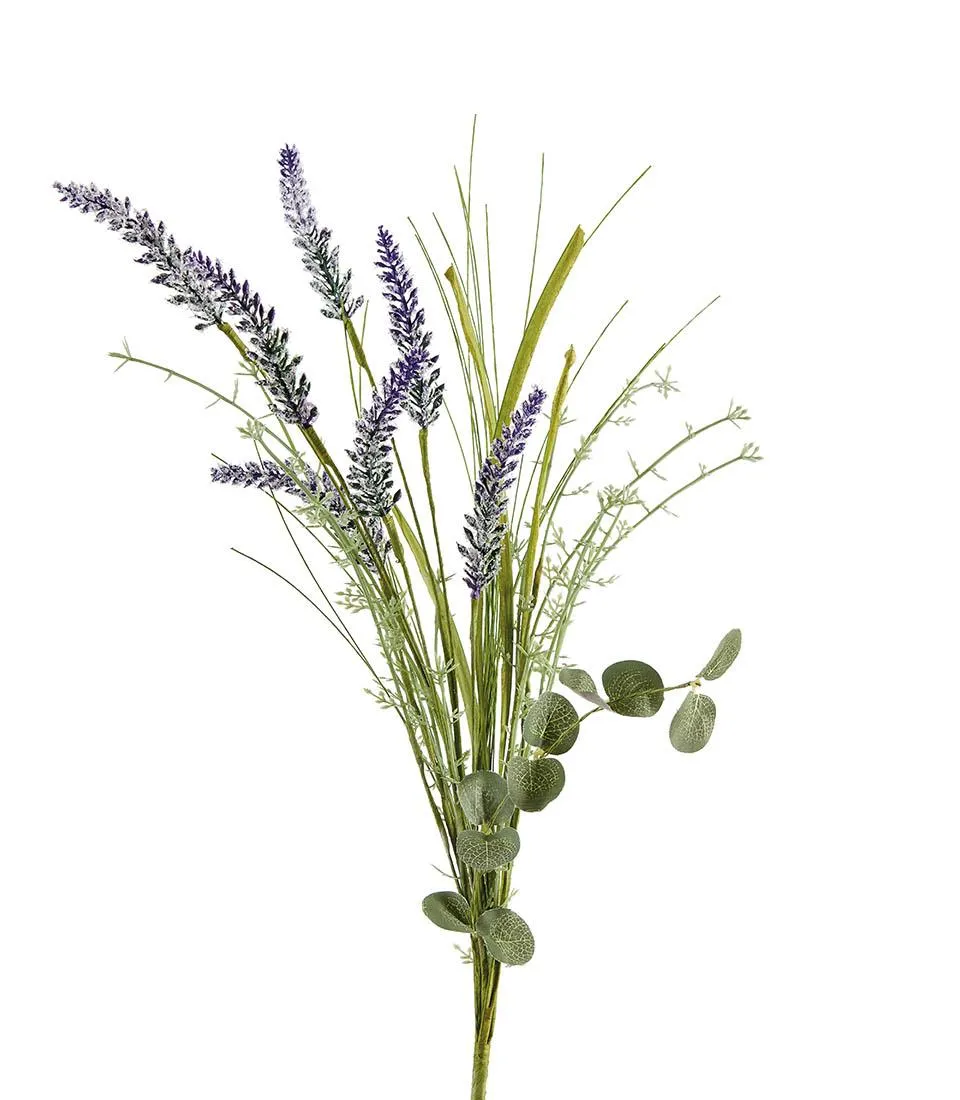 Lavanda
