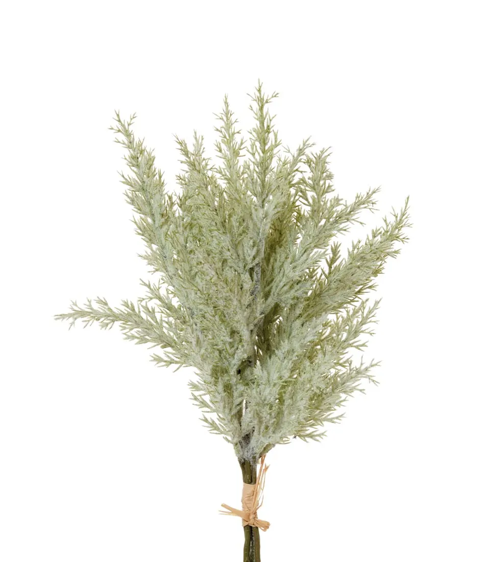 Ginepro verde