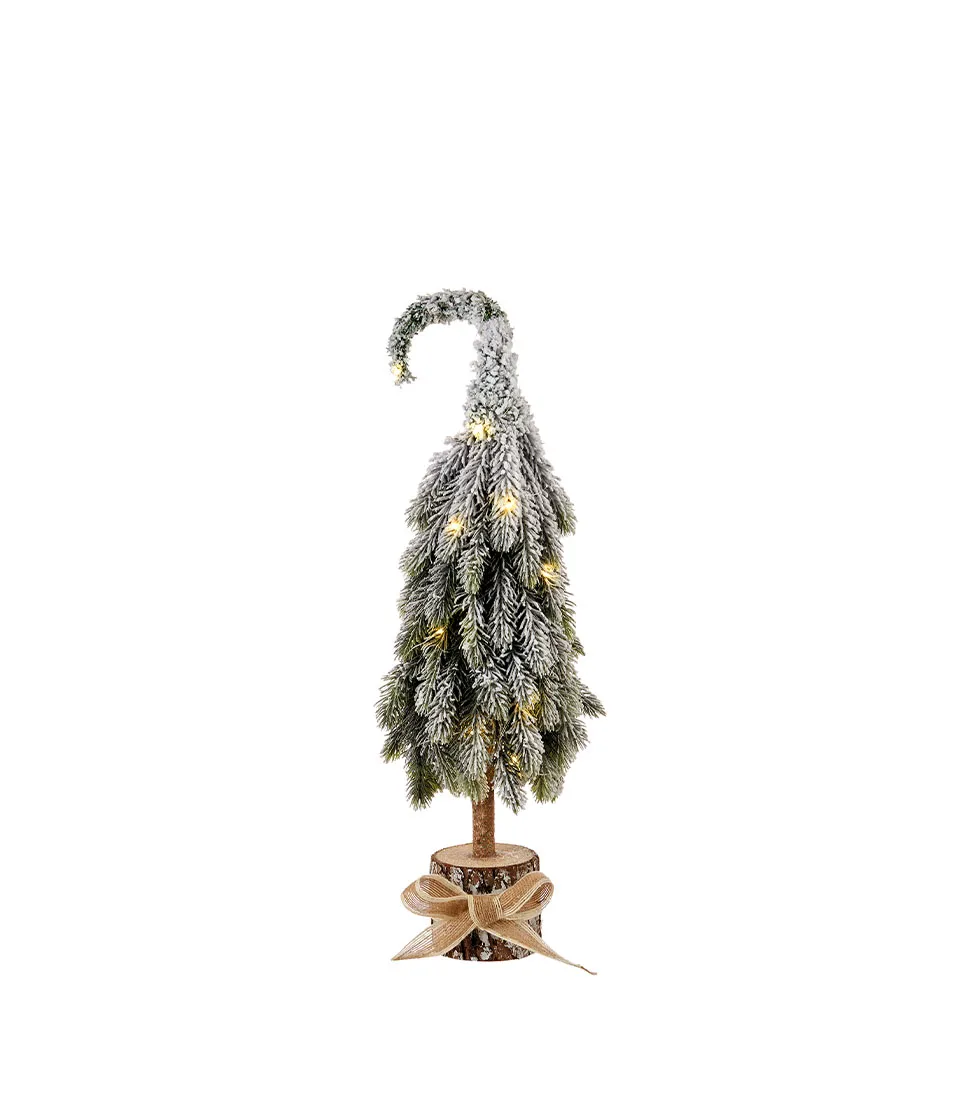 Albero piccolo
