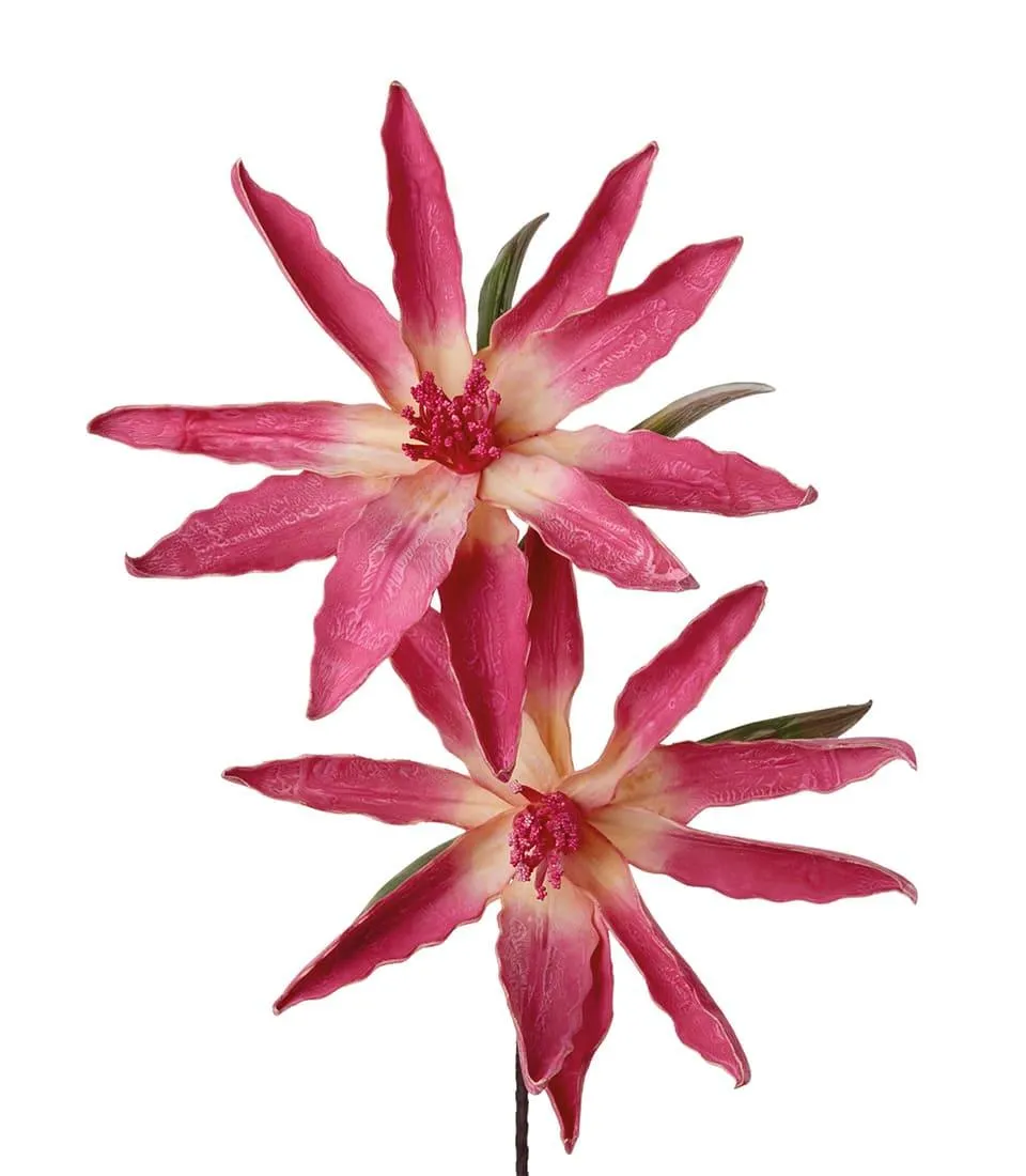 LEUCADENDRON, RED (4 pcs/pack)