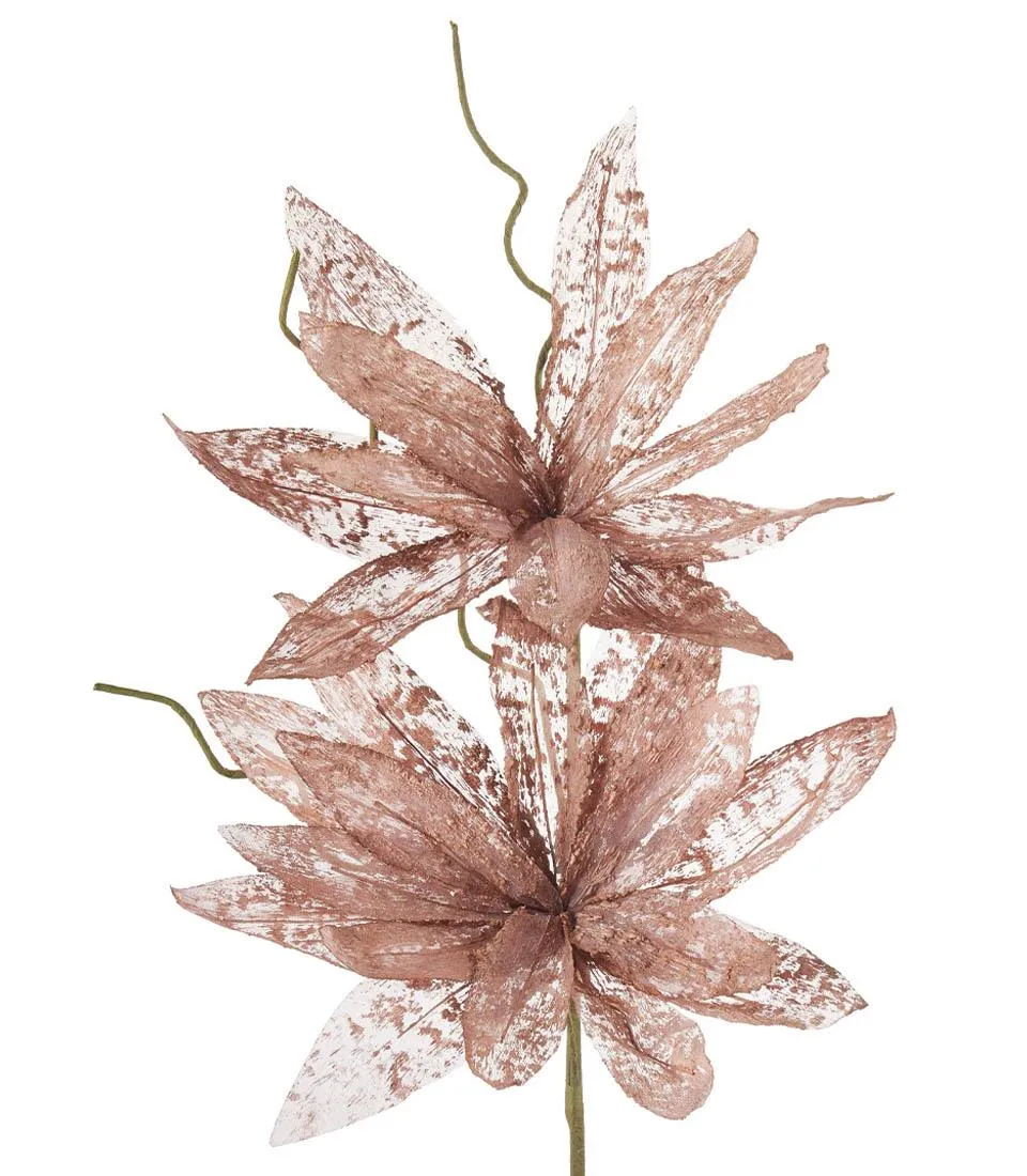 Magnolia porpurea bronzo