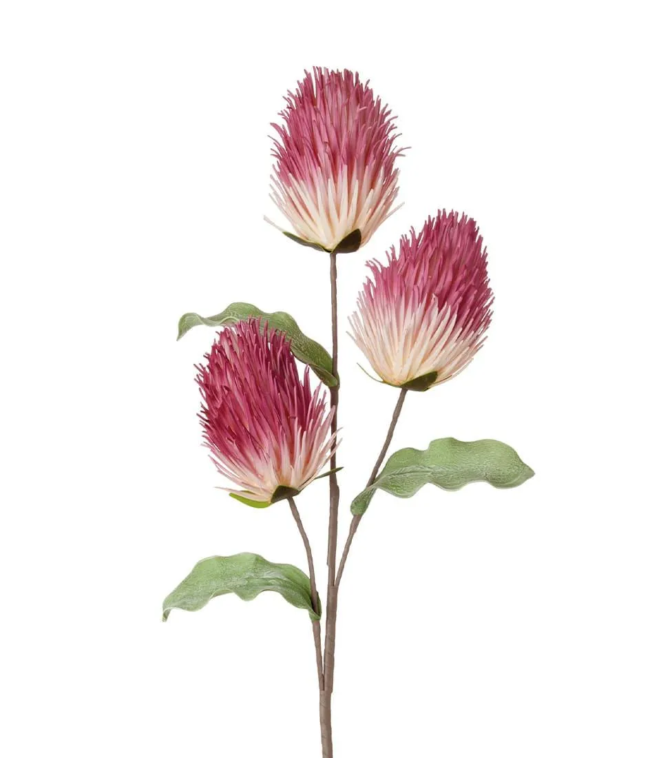 SAFFLOWER, PINK (4 pcs/pack)