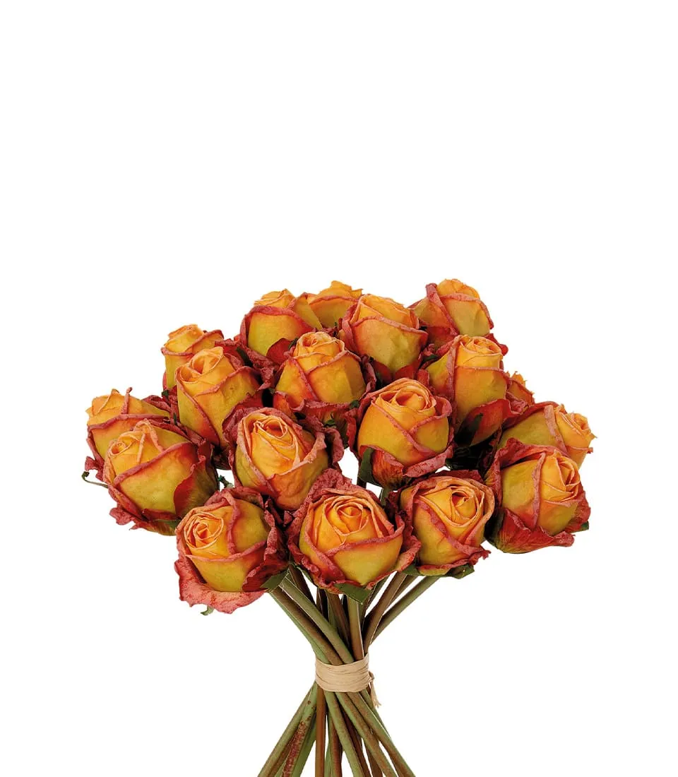 Bouquet 18 rose arancioni