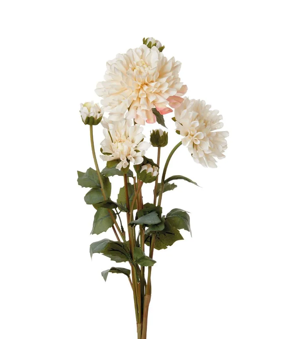 DAHLIAS, WHITE (4 pcs/pack)