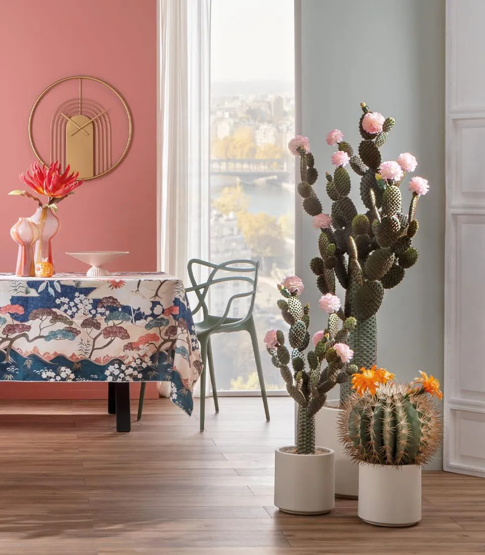 Cactus with organge flower