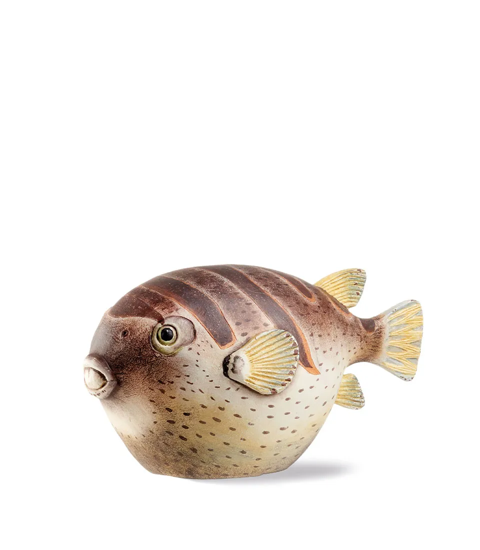 Decorative banded puffer fish