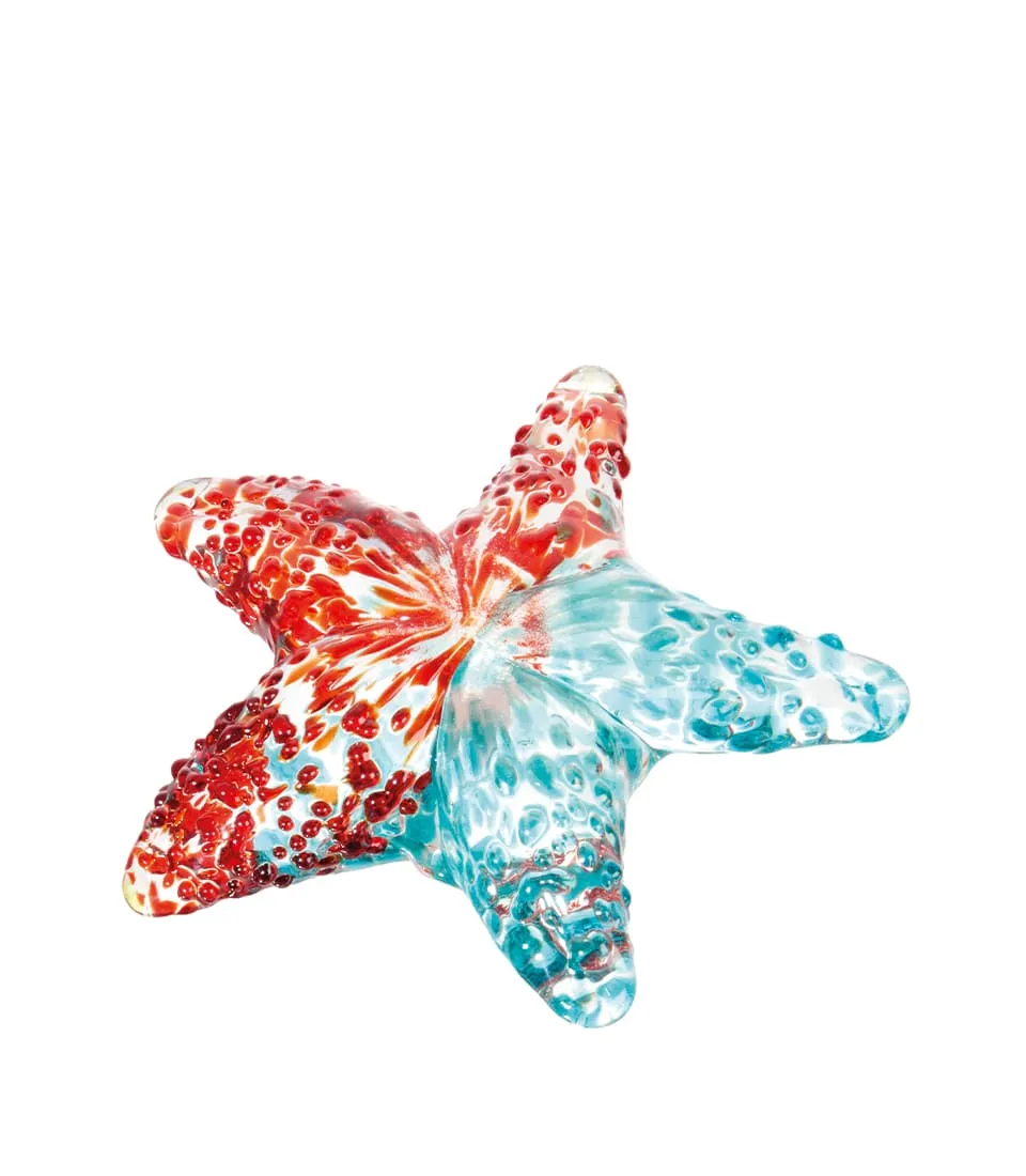 Decorative starfish - set 5 pcs.