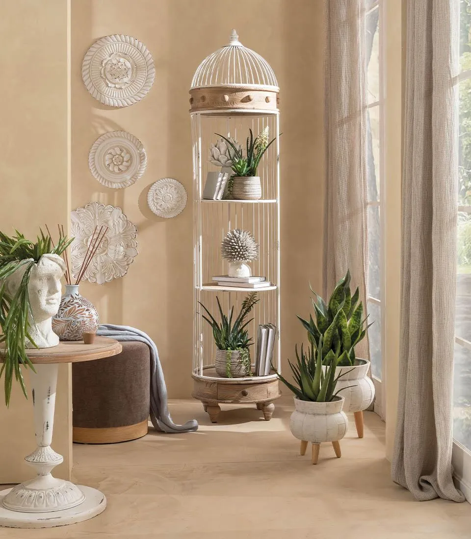 Succulent plant arrangement - set 2 pcs.