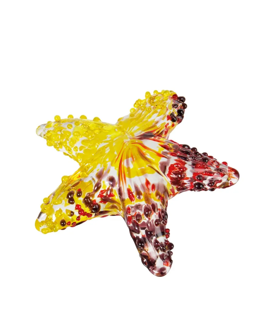 Decorative starfish - set 5 pcs.