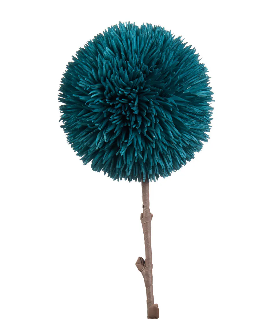 Allium avio