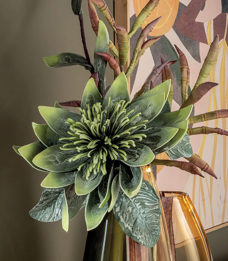 Lotus flower, green