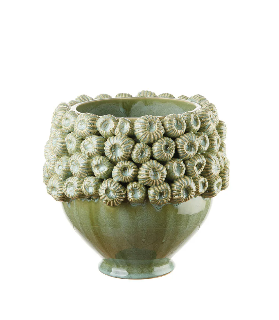 Vaso basso