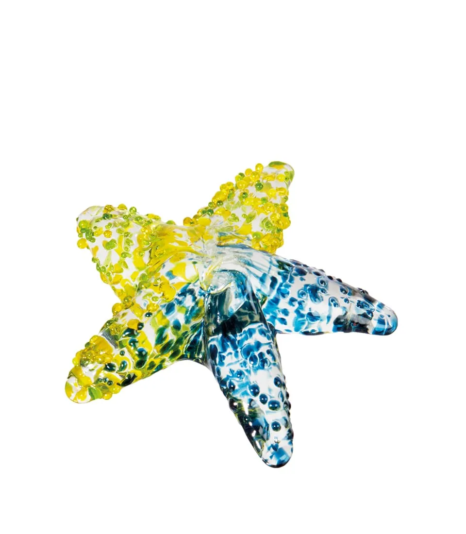 Stella marina decorativa - set 5 pz