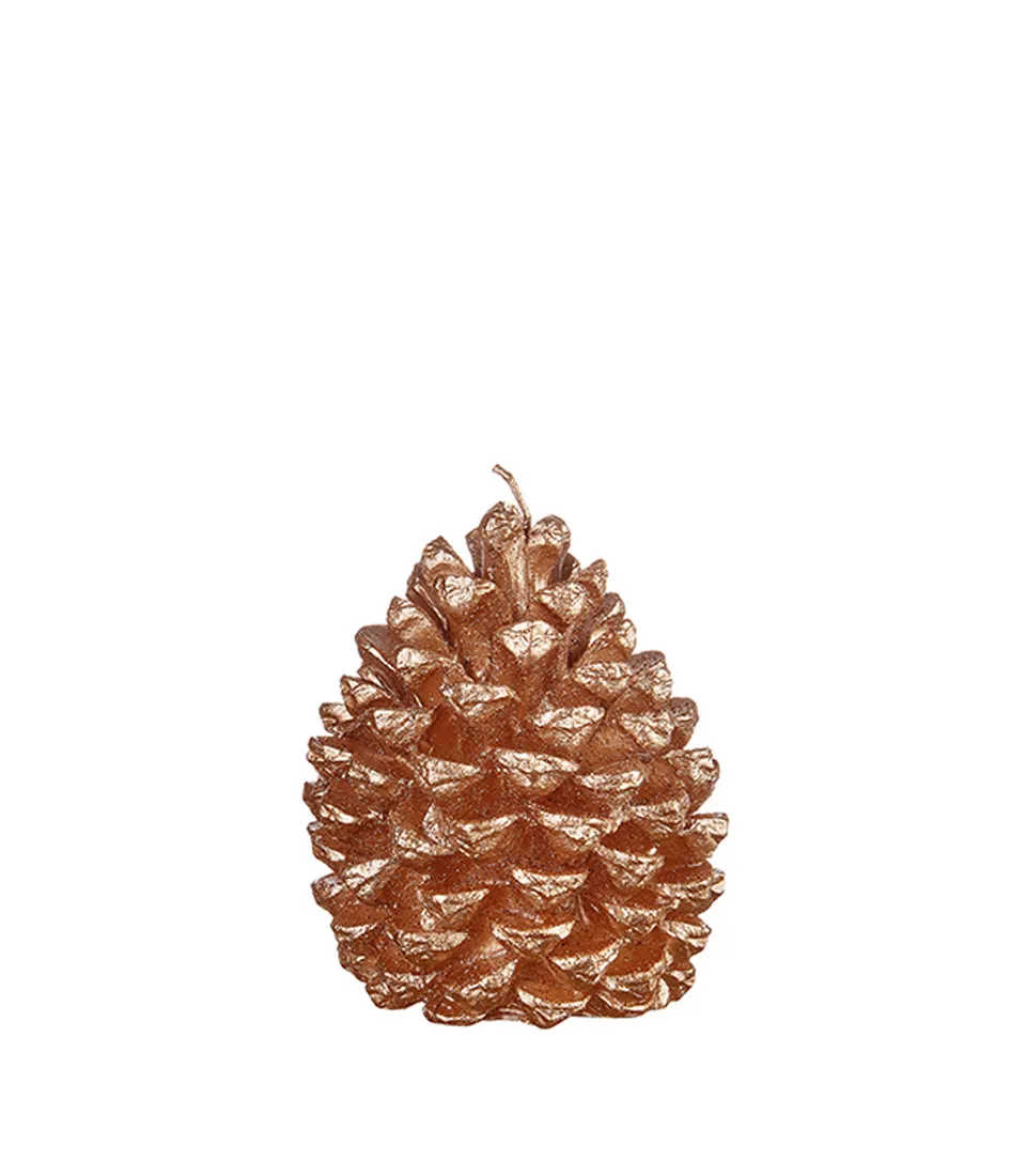 Candela pigna champagne