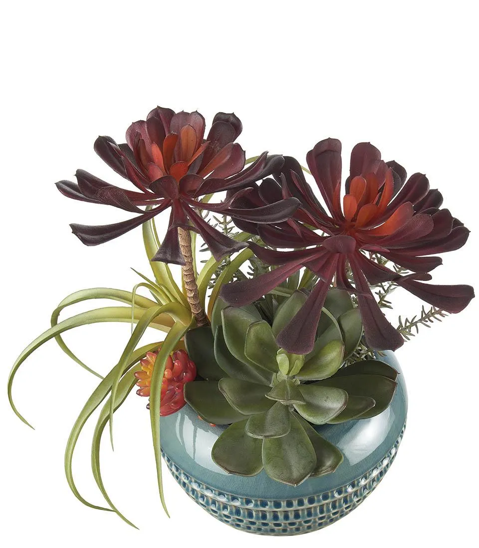 Composizione piante grasse - set 2 pz