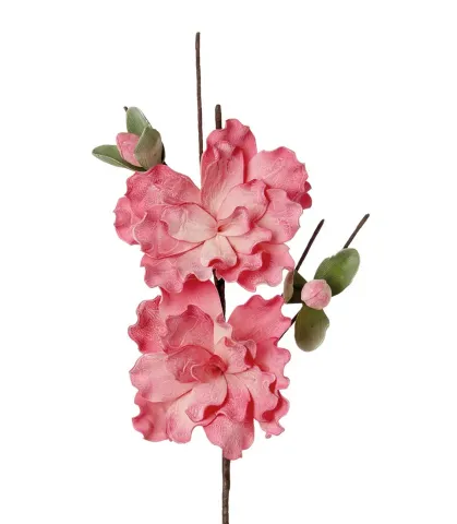Azalea, pink