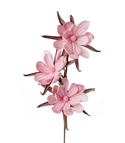 Bombax ceiba, pink