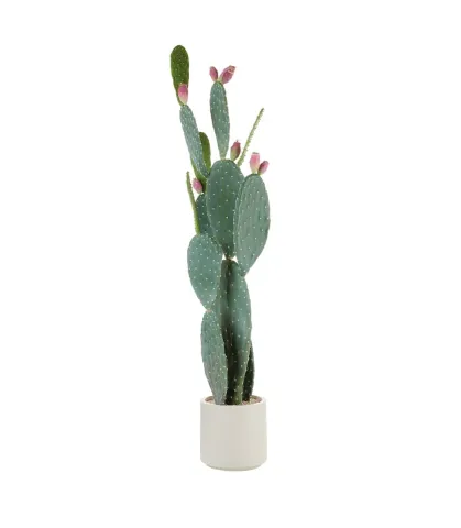 Prickly pear cactus