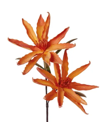 LEUCADENDRON, YELLOW (4 pcs/pack)