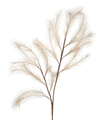 Pampas, natural