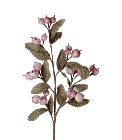 Pomegranate ako