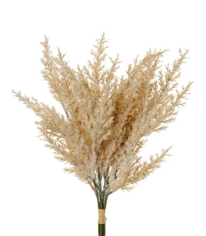 Juniper, natural