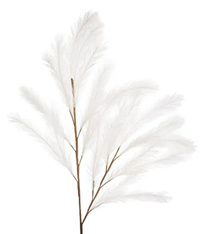Pampas, white