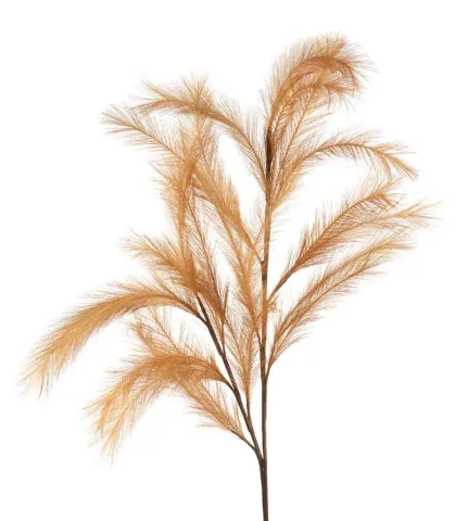 Pampas, bronze