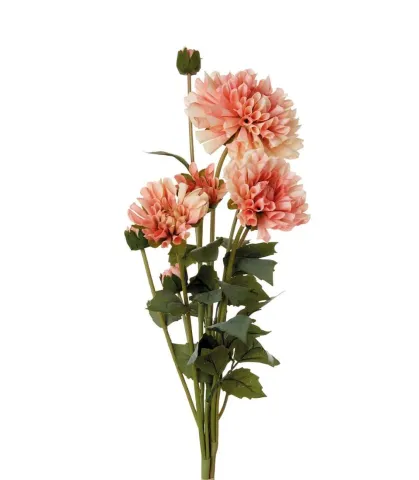 DAHLIAS, PALE PINK (4 pcs/pack)