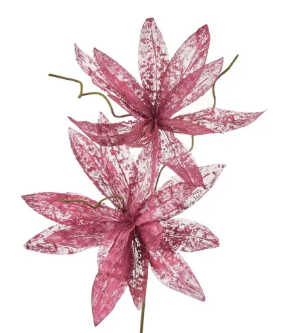 Magnolia porpurea, blackcurrant