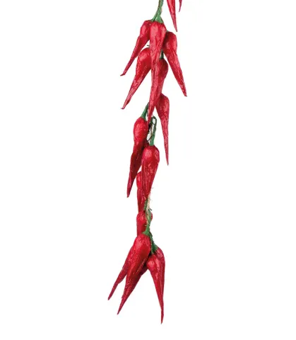 Chili pepper
