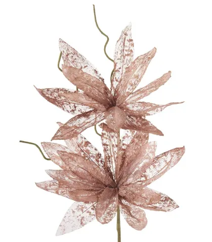 Magnolia porpurea, bronze